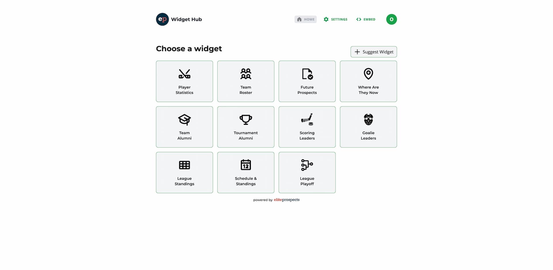 An image of EliteProspects Widget Hub in desktop view